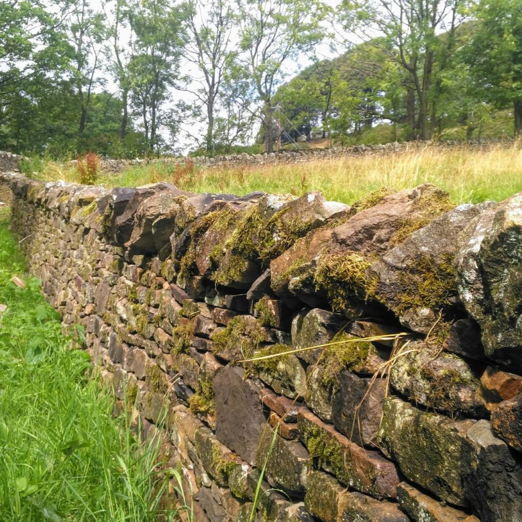 dry stone wall near Pendle from 2018