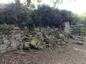 Dry stone waller near Chorley 2018