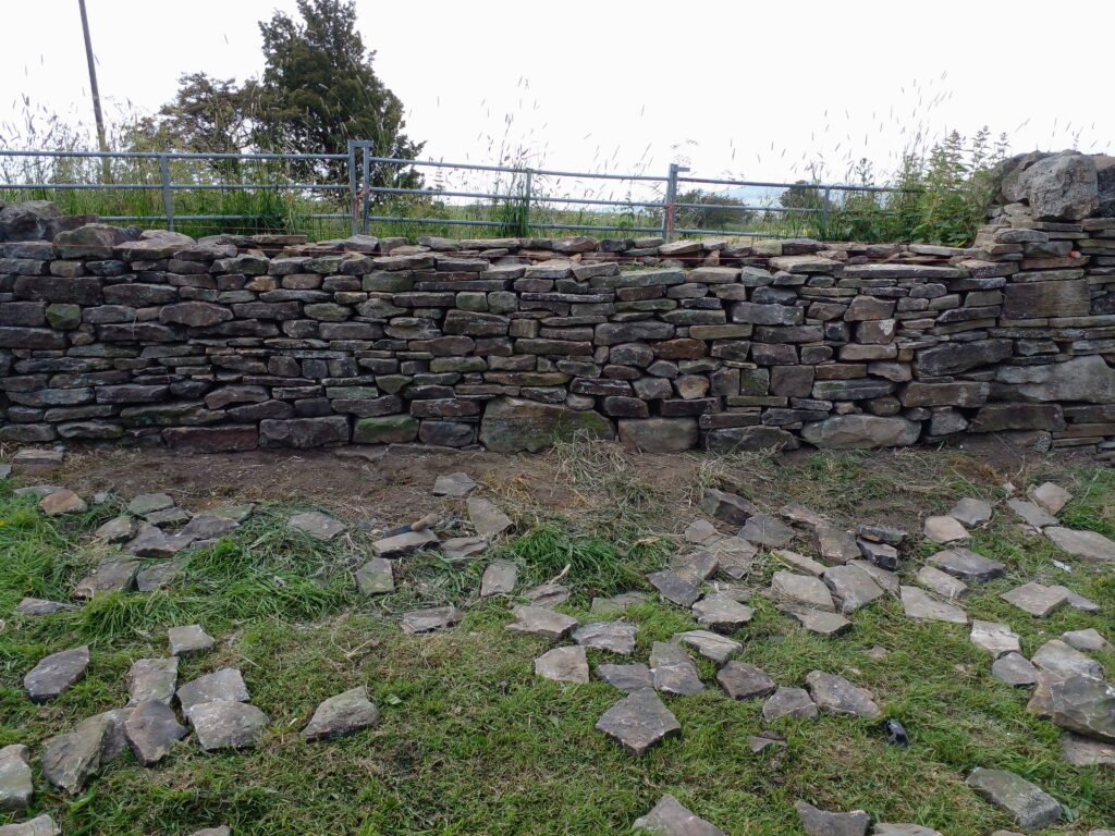 Stages of Dry Stone Wall Gap Repair in The Ribble Valley