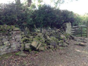 picture of damage to dry stone wall in Wheelton, near Chorley.